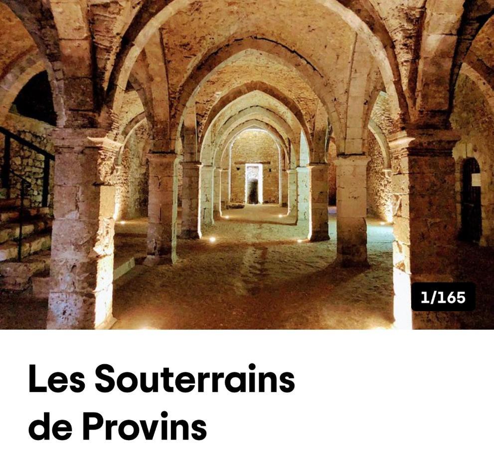 Harmonia Maison De Caractere Proche Provins Gouaix Bagian luar foto